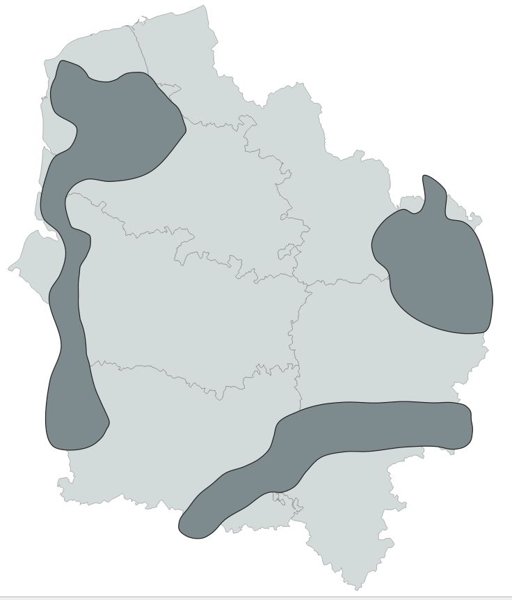 overview